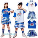 キッズ ダンス 衣装 キッズダンス衣装 セットアップ HIPHOP ヒップホップ 半袖tシャツ へそ出し スカート 女の子 男の子 子供 キッズダンス 衣装 応...