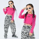 キッズダンス衣装 キッズ セットアップ トップス パンツ 韓国 チアダンス衣装 かっこいい ローズレッド ゼブラパターン HIPHOP ステージ衣装 応援団 練...