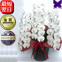 お祝い 3本立ち 胡蝶蘭 開店祝い 36輪 大輪 白 お祝い 御祝 開院祝い 開業祝い 移転祝い 就任祝い 当選祝い 受章祝い 栄転祝い 昇進祝い 退職祝い ギ...