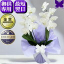 お供え専用 胡蝶蘭 お供え 花 御供 【最短翌日お届け】お悔やみ 法事 白 2本立ち 1本立ち あす楽 枕花 仏花 献花 忌 お盆 お彼岸 花 供花 新盆 初盆...