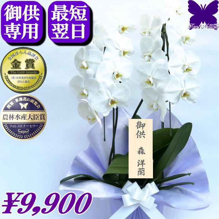 お供え専用 胡蝶蘭 ★500円OFFクーポン発行中11/30まで★ 供花 お供え花 御供 画像配信あり 白 3本立ち ..