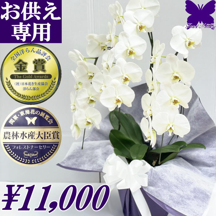 供花 胡蝶蘭 お供え花 お悔やみ 白 3本立ち 24輪 あす楽 枕花 仏花 献花 お盆 お彼岸 花 忌 新盆 初盆 おそなえ 通夜 葬儀 告別式 法要 仏事 仏壇 命日 供養 胡蝶蘭専門農家の生産直売 神奈川県平塚市 直送 大輪 あす楽対応 送料無料 アレンジ 花の写真 お供え専用のサムネイル