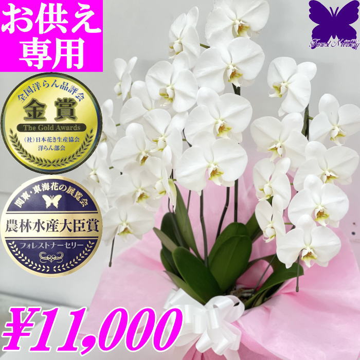 49日 お供え 花 供花 お供え お悔やみ 仏花 胡蝶蘭 お供え 花 お悔やみ 白 3本立ち 24輪 あす楽 枕花 献花 忌 お盆 お彼岸 花 供花 新盆 初盆 おそなえ 通夜 葬儀 葬式 告別式 法要 法事 仏事 仏壇 命日 供養 胡蝶蘭専門農家の生産直売 神奈川県平塚 花の写真 お供え専用のサムネイル