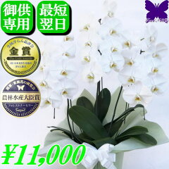 https://thumbnail.image.rakuten.co.jp/@0_mall/silk-f/cabinet/osonae-10000/20240213-os-3f-10-3.jpg