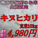 【送料無料】神奈川の湘南平塚で作ったこだわりのお米です。コメ湘南で生産直売減農薬のお米玄米キヌヒカリ10kg【送料無料】湘南で生産直売減農薬のお米玄米キヌヒカリ10kg