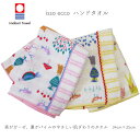タオル ハンドタオル 今治 今治タオル isso ecco もり ガーゼ素材 ウォッシュタオル ガーゼウォッシュタオル 日本製 34cm×35cm ネコポス