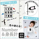 ウォールステッカー 身長計 投球ステッカー シール 剥がせる壁紙 壁 ガラス silkyroom シール式 DIはがせる キッズ 子供部屋 はがせる壁紙 ガラスフィルム キッチンシート ステッカー シール式 野球 サッカー数字 装飾 誕生日月齢