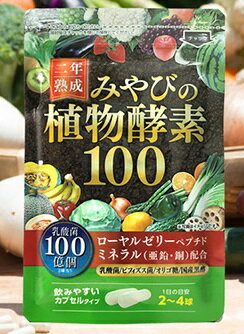 植物酵素 100 （カプセル） 【ゆうパケット対象商品】