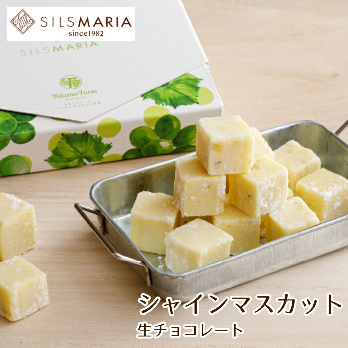 シャインマスカット生チョコレート（20粒入り）チョコ チョコレート ギフト スイーツ お菓子のサムネイル