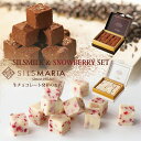 シルスマリア チョコレート シルスミルク（20粒入り）／スノーベリー（20粒入り） 生チョコセット