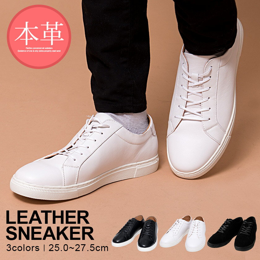 ������̵���ۥ��ˡ����� ��� ������� ���塼�� �� ���� ���� �ܳ� �졼�����å� �� ���塼�� �쥶�� �������å� ����ץ� �١����å� ̵�� �֥�å� ...