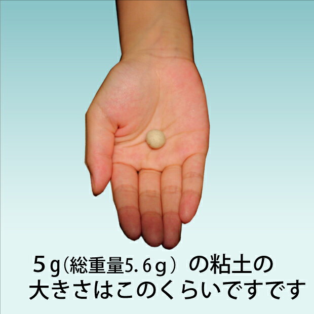 純銀粘土　Morin（モリン）5g（総重量5.6g）【メール便OK】【割引クーポン発行対象...