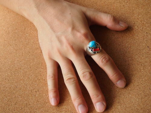 ����ǥ����󥸥奨�꡼���ʥХ�² �����������ȥ��󥴡���󥰡�27��