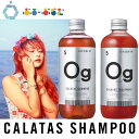 【最安値挑戦中】CALATAS カラタス シャンプー＆トリートメント ヒートケア オレンジ 250ml SHAMPOO TREATMENT HEAT CARE Og ダメージ補修 色落ち防止 ノンシリコン ブリーチ 補修ケア アミノ酸配合 RSL