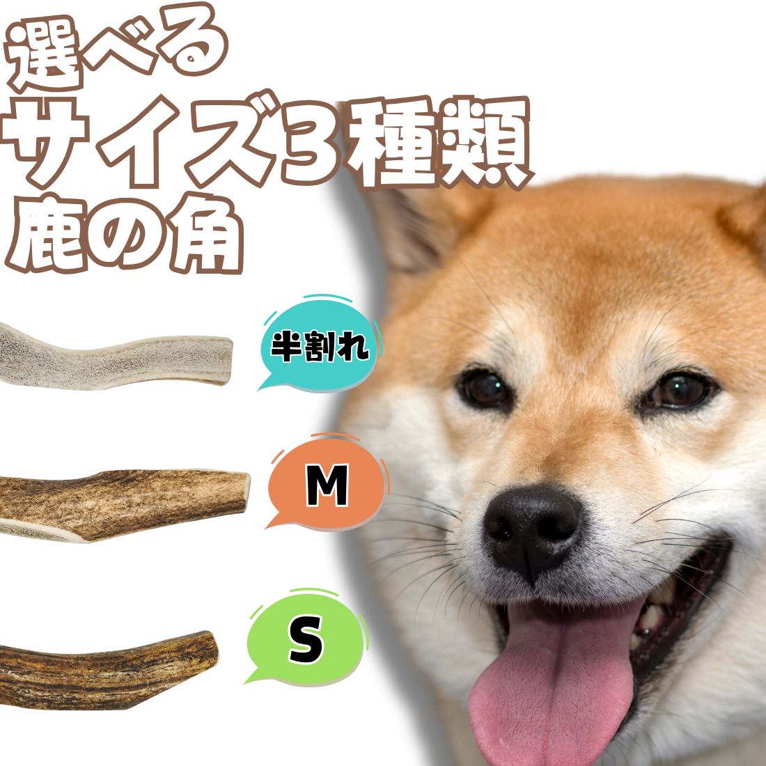 【選べるサイズ3種類】鹿の角 犬 （ヨーロッパ産赤鹿角）小～中型犬 (割らない丸ごと角）ヨーロッパ産 ..