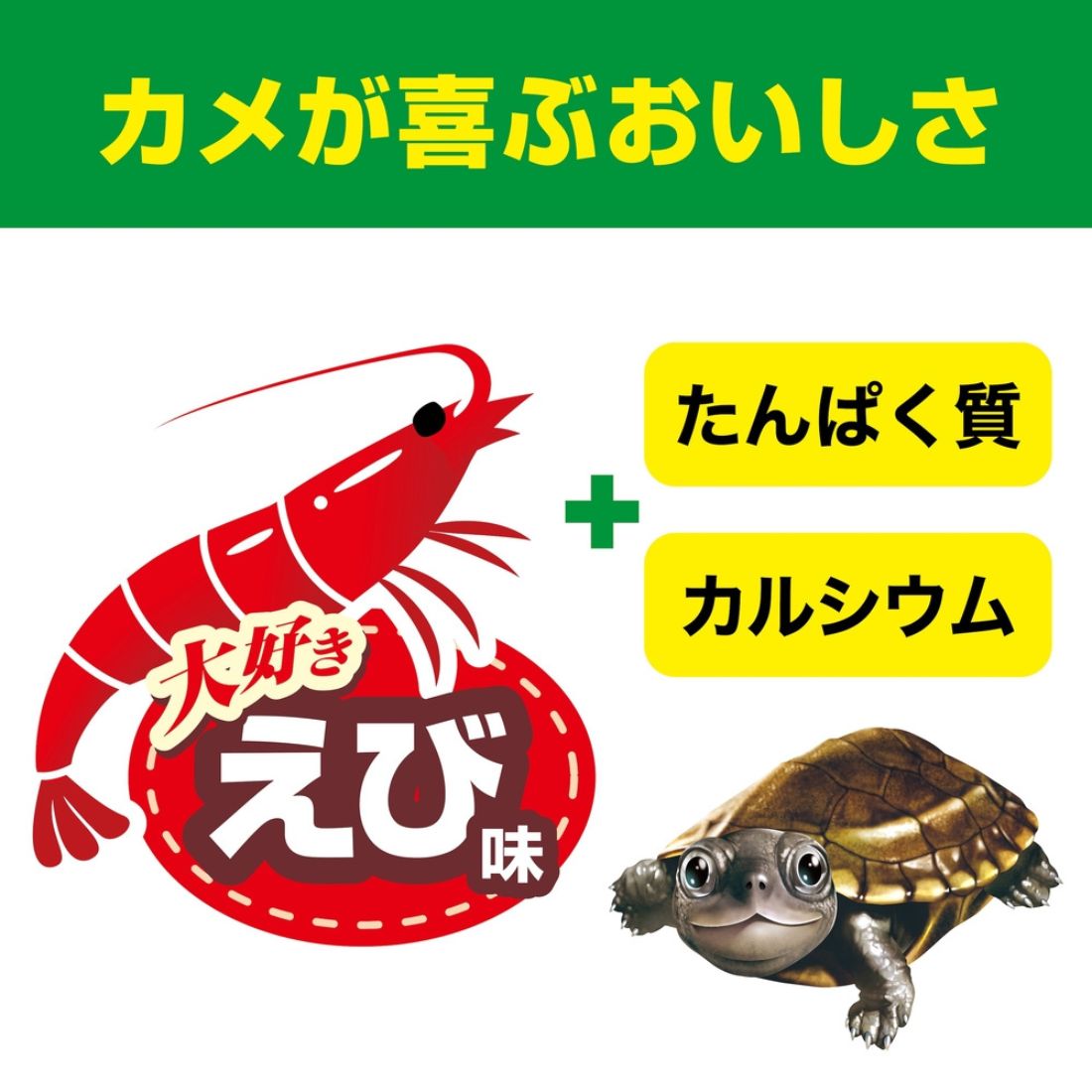 【選べるセット】カメ元気 カメのごちそうパン えび味 20g (2・3・6個)