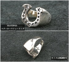 送料無料シルバー925リングピアスナローVバンドCHXイヤリングクロスイヤリングクロスピアスsv925片耳!