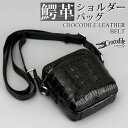 クロコダイル 本革 ワニ ショルダーバッグ 鞄 かばん クラウン部位 背ワニ 腹ワニ 牛革 肩かけ 専用ボックス 無料ラッピング 父の日