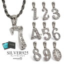 楽天シルバーアクセサリーSILVERKYASYAナンバーネックレス 数字ネックレス ペンダント ジュエリー シルバー925 ロープチェーンネックレス フレンチロープ 誕生日 誕生月 ソウルナンバー 金属アレルギー対応 ジュエリーBOX付属 父の日