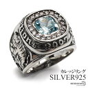 シルバー925 カレッジリング 大粒ストーンリング ワイドリング ごつめ 指輪 重厚感 紋章 龍 虎 パヴェ 水色 ブルー 男性 メンズ 金アレ対応