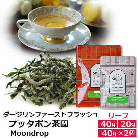 楽天インド紅茶専門店シルバーポット紅茶 茶葉 ダージリン ファーストフラッシュ 2024年 プッタボン茶園 Moondrop / 春摘み 1stフラッシュ クオリティシーズン 専門店のおいしいおすすめ 高級ダージリンティー ダージリン紅茶 リーフティー インド紅茶 / ストレートティーで / DJLFY5Y