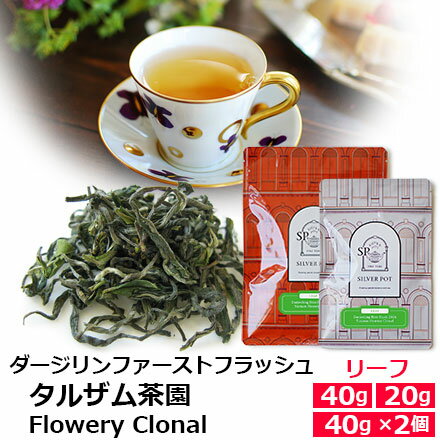 紅茶 茶葉 ダージリン ファーストフラッシュ 2024年 タルザム茶園 Flowery Clonal / 春摘み 1stフラッシュ クオリティシーズン 専門店のおいしいおすすめ 高級ダージリンティー ダージリン紅茶 リーフティー インド紅茶 / ストレートティーで / DJLFY5Y