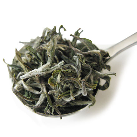 紅茶 茶葉 ダージリン ファーストフラッシュ 2026年 タルザム茶園 Moon Light / 春摘み 1stフラッシュ クオリティシーズン 専門店のおいしいおすすめ 高級ダージリンティー ダージリン紅茶 リーフティー インド紅茶 / ストレートティーで / DJLFY6Y 2