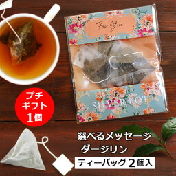 紅茶（300円程度） メッセージ プチギフト 高級ダージリン紅茶 ティーバッグ版 / おしゃれでかわいい メッセージ入りパッケージ ありがとう(Thank You)も 紅茶 ギフト、配るプチプレゼント / ホワイトデー 結婚式 ウェディング 異動 退職 ご挨拶 お礼にも / 個包装(2包入) / GIFTY1Y