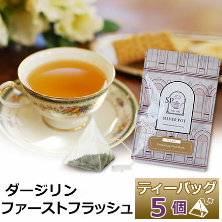 紅茶 プレミアムティーバッグ 5個入 ダージリン ファーストフラッシュ / 高級 ダージリンティー 春摘み紅茶 / おいしい 人気 おすすめ ティーパック 三角ティーバッグ 三角ティーパック お試しサイズ / TBOTY1Yのサムネイル