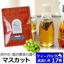 水出し紅茶用ティーバッグ お徳用パック 2.5g×17TB入り マスカット / 水出しティーバッグ / フレーバーティー / MTTKY2Y