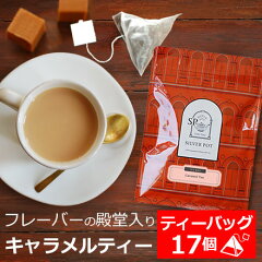 https://thumbnail.image.rakuten.co.jp/@0_mall/silverpot/cabinet/teabag3/tb17-caramel-s.jpg