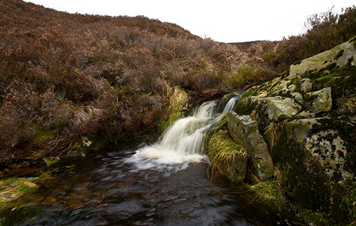 グレンファークラス 12年 200ml 1本