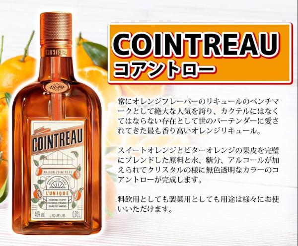 ��Ȣ�ʤ��ۥ�����ȥ��� 700ml 1��