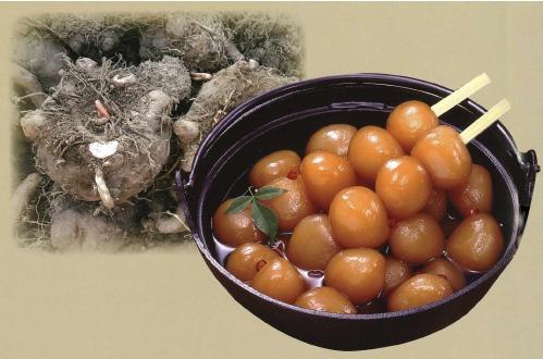 ��̳�ѡ�̣�դ��̤���ˤ㤯 ��10������