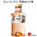 ジューン ジン 700ml x1本 30度 株式会社コートーコーポレーション G'Vine