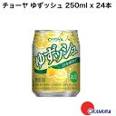 チョーヤ ゆずッシュ 250ml(1ケース/24本入り)