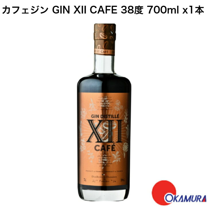 スピリッツ ジン トゥエルブ カフェジン GIN XII CAFE 38度 700ml x1本
