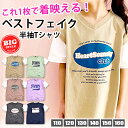 【 在庫限り★ 】【送料無料】SHISKY 半袖 Tシャツ ベストフェイク BIG レイヤード風 キッズ 女の子 春 夏 子供服 110cm 120cm 130cm 140cm 150cm 160cm 半そでTシャツ 綿100% トップス 重ね着風 ロゴ 女の子 おしゃれ かわいい 保育園 幼稚園 小学生