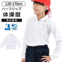 【送料無料】体操着 体操服 ハーフジップ 女の子 男の子 長袖 トップス スクールシャツ 襟付き 体育 白 ホワイト 無地 シンプル 子供 キッズ ジュニア 子供服 子ども 綿100% 男女兼用 シンプル お受験 通園 通学 幼稚園 保育園 小学生 中学生 吸水速乾 無地 抗菌 防臭