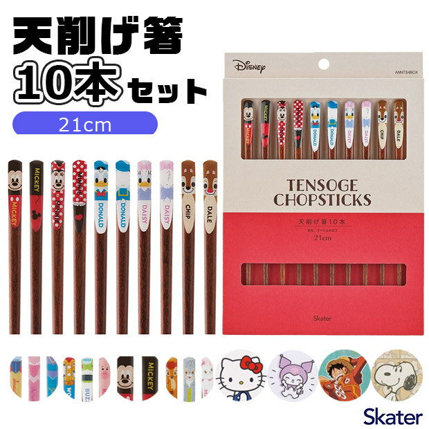 2025年最新柄【 10%OFF★ 】【送料無料】SKATER スケーター 天削げ箸10本セット お箸 レディース メンズ 箸 おはし 5膳セット キャラクター...
