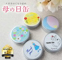 母の日 プレゼント 実用的 ギフト メガネ くもり止め 曇り止め クロス 約300回分 くり返し使える フォグストップ缶 缶入り 拭くだけ 簡単 強力 曇り止め...