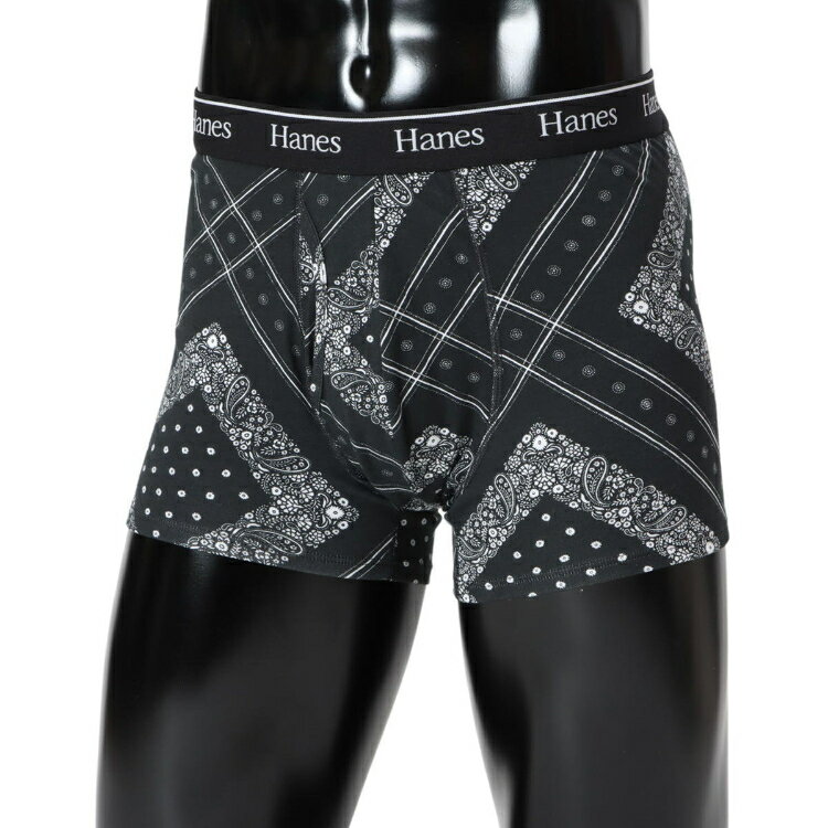 Other - Hanes チャンピオン 1P BOXER BRIEF カラー1 LL HM6EB202 1 | メンズ ボクサーパンツ 男性用 下着 インナー 抗菌防臭 肌触り 快適フィット 動きやすい 派手柄 カジュアル ルームウェア MENS 紳士 普段着 衣類 ファッション おしゃれ かっこいい 人気