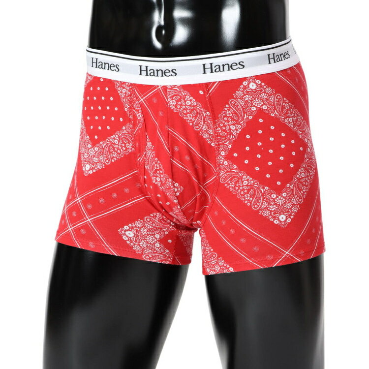 Hanes - Hanes チャンピオン 1P BOXER BRIEF カラー2 L HM6EB202 2 | メンズ ボクサーパンツ 男性用 下着 インナー 抗菌防臭 肌触り 快適フィット 動きやすい 派手柄 カジュアル ルームウェア MENS 紳士 普段着 衣類 ファッション おしゃれ かっこいい 人気