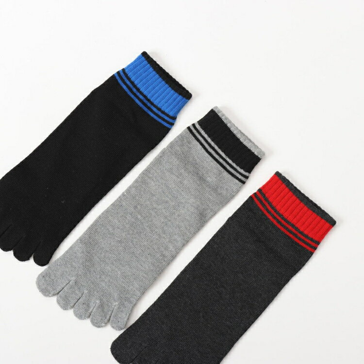 Hanes �����ԥ��� ���硼�ȥ�󥰥����å��� �������� M HMSCX301 997 | ���� ���å��� ���硼�ȥ�󥰥��� ����֤��� ����֤����å��� 5�ܻإ��å��� 3­�� ��� ������ �������� �����ɽ� �ޥ�����顼 �����奢�� ������� ����ץ� �ե��å���� �͵�