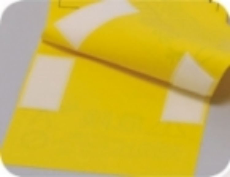 �ԥ������ݥ졼����� PiCa ��Ωɸ�� SLP-K | ��Ω���ץ���� �ԥ� ��Ω ���ץ����