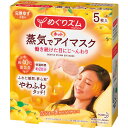 花王 めぐりズム 蒸気でホットアイマスク 5枚 完熟ゆず | 0769231