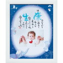 1人用ディズニーwith Photo(お名入れ) NPG-DS212 | 23-0018-025 雑貨 小物 ベビー 御祝 お祝い 出産 ネームインポエム キャ...