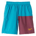 speedo スピード BOYS SHORTS レイク 120サイズ SLB42304 LK | スポーツ スポーツ用品 服 衣類 衣料品 水着 スイムウェア トランクス水着 キッズ ジュニア ボーイズ はっ水性 スピンドル付 UVカット ゴム仕様 アウトドア デイリーユース ブラウン ブルー 120