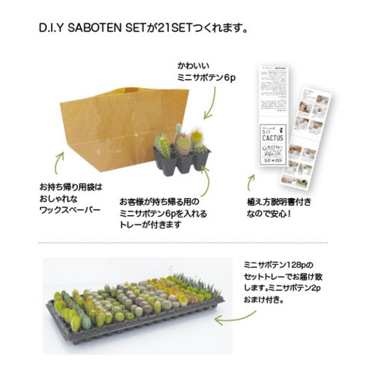 SPICE ���ѥ��� DIY SABOTEN (����������������) 8971DIY 21�� | �����ǥ� ��ʪ ���ܥƥ� ¿��