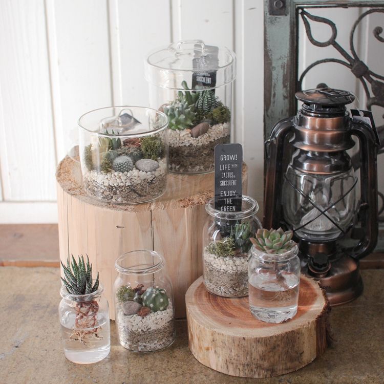 SPICE ���ѥ��� GLASS CANSTER SABOTEN L������ 8S04 6�� | �����ǥ� ��ʪ ���ܥƥ� ¿�� ����ƥꥢ